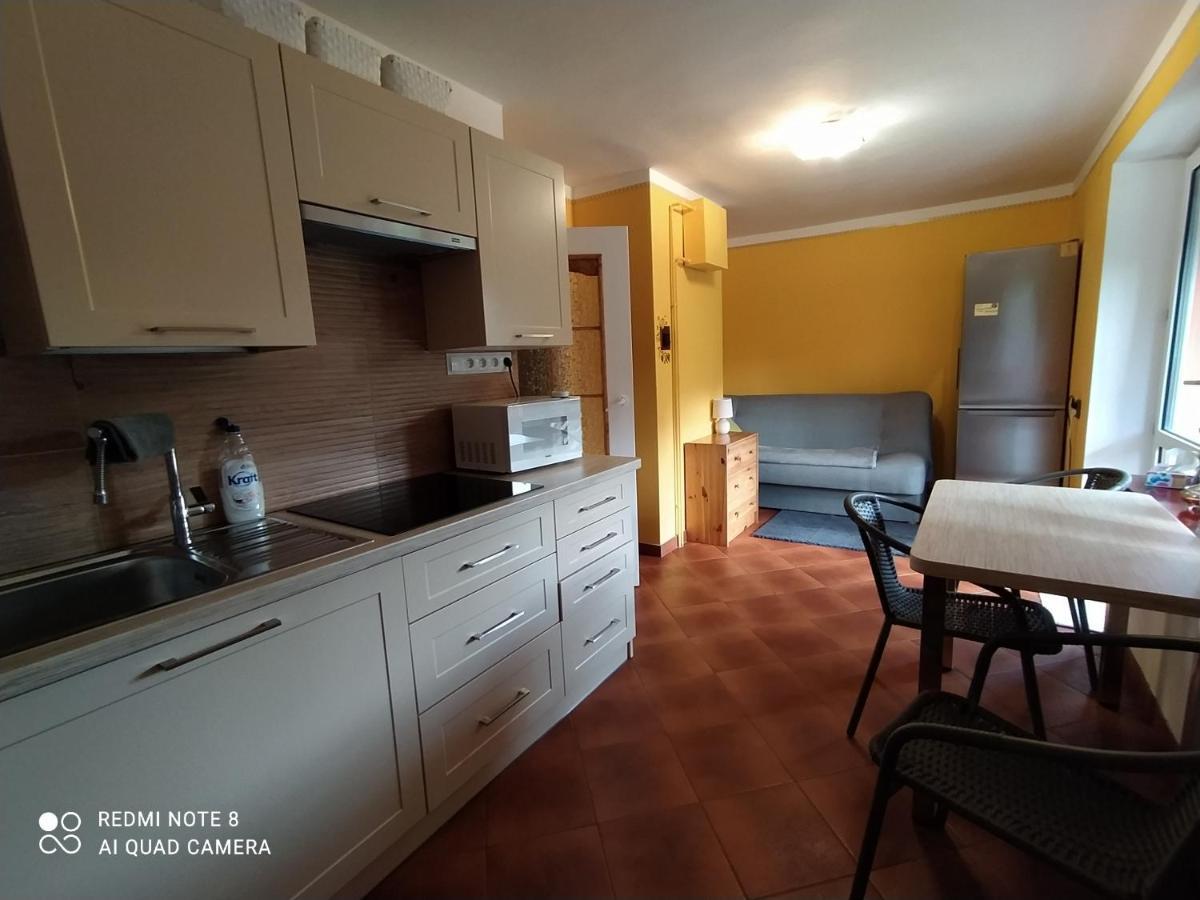 W Poblizu Energylandii - Ogrod Radocza