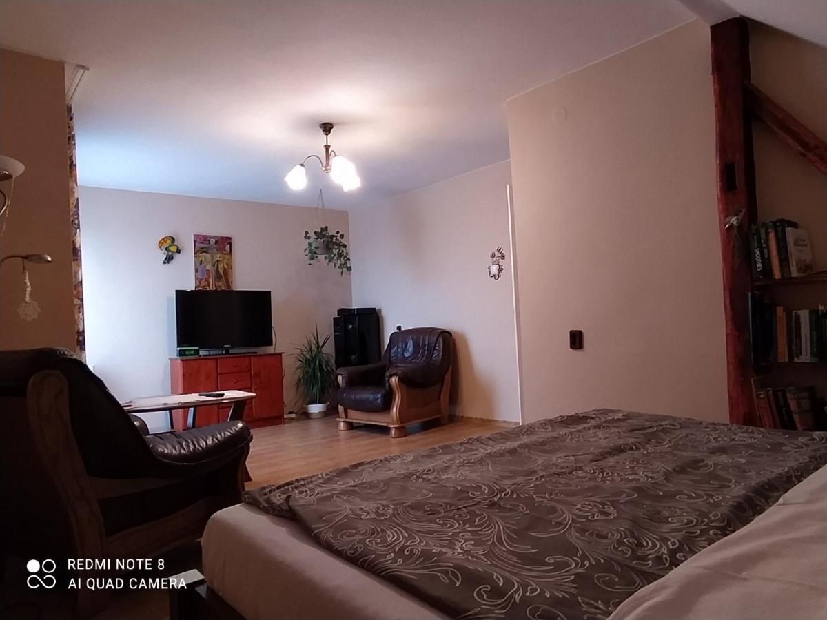 Apartment W Poblizu Energylandii - Ogrod