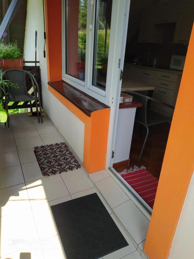 W Poblizu Energylandii - Ogrod