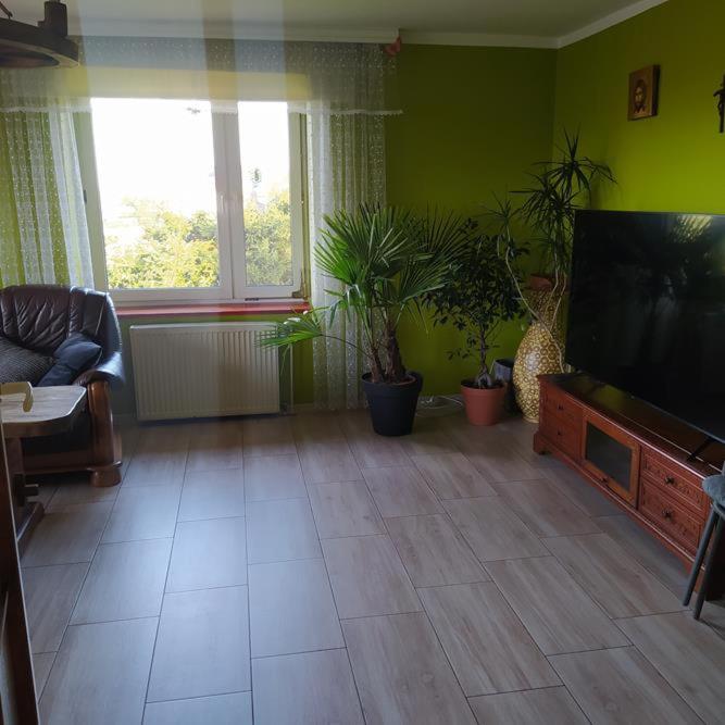 Apartment W Poblizu Energylandii - Ogrod *